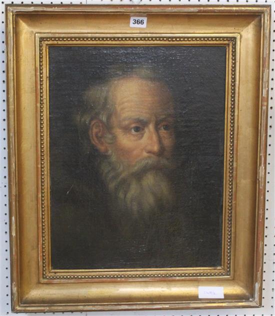 Oil on canvas, bearded gent, gilt frame